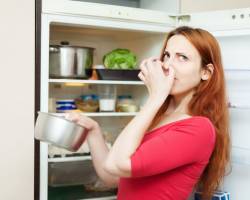 Kühlschrank stinkt: So entfernt man den üblen Geruch