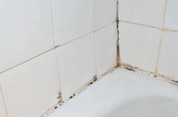 Schimmel in der Dusche