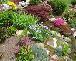 Steingarten anlegen und gestalten - Die richtigen Pflanzen, Steine und Herangehensweise