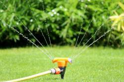 Richtig gießen und Garten genießen