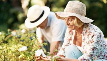 Gartenarbeit