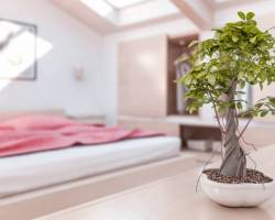 8 Feng Shui Tipps für das Schlafzimmer