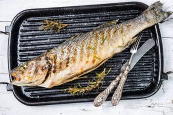 Wolfsbarsch grillen