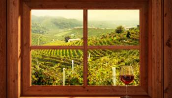 Fenster