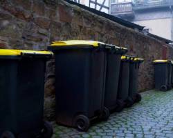 Schwarze Tonne - Das darf rein!