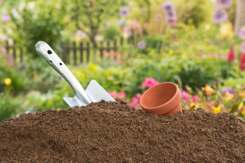 Was tun gegen kleine Fliegen in Blumenerde?