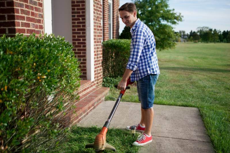 Rasenpflege Frühjahr: 10 Punkte Plan | ZUHAUSE.net